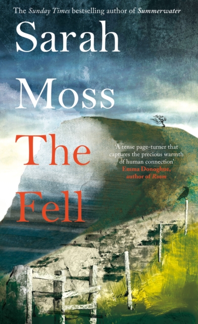 The Fell by Sarah Moss | 9781529083224