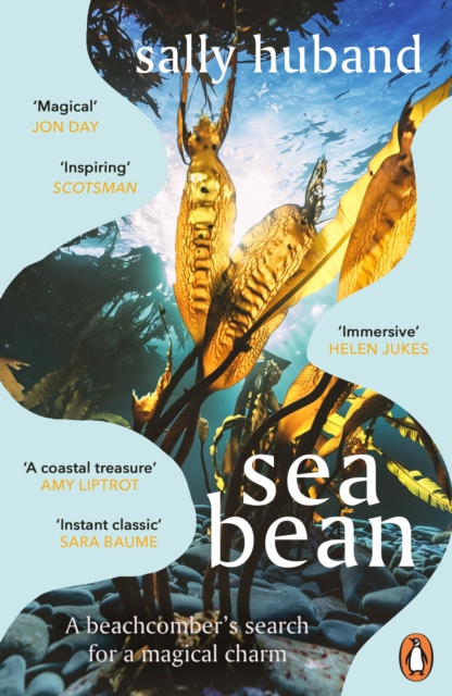 Sea Bean by Sally Huband | 